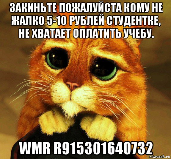 закиньте пожалуйста кому не жалко 5-10 рублей студентке, не хватает оплатить учебу. wmr r915301640732