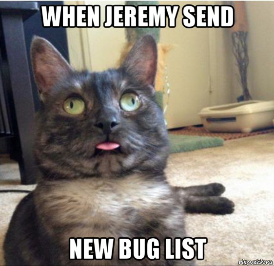 when jeremy send new bug list, Мем   Кот завис