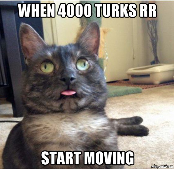 when 4000 turks rr start moving, Мем   Кот завис