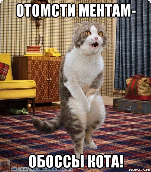 отомсти ментам- обоссы кота!