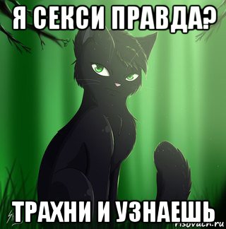 я секси правда? трахни и узнаешь