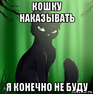 кошку наказывать я конечно не буду