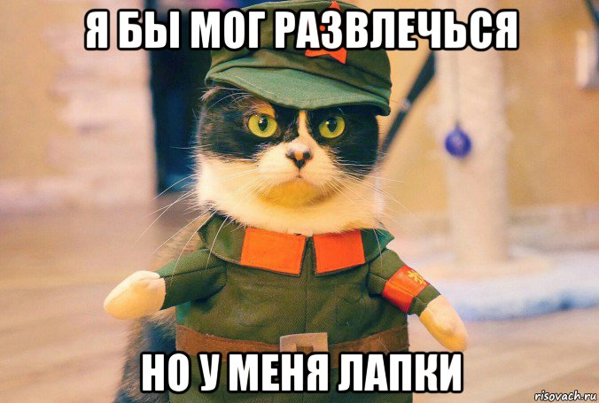 я бы мог развлечься но у меня лапки