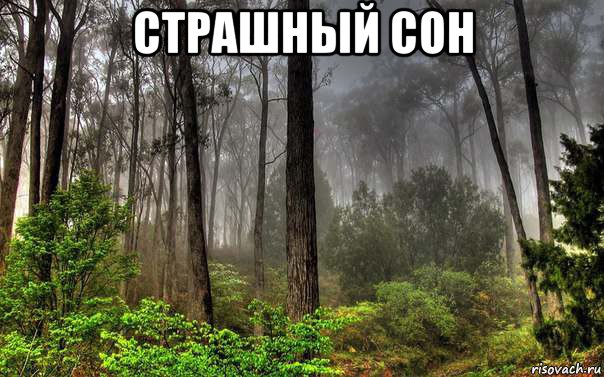 страшный сон 