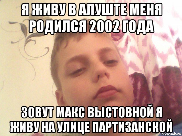 я живу в алуште меня родился 2002 года зовут макс выстовной я живу на улице партизанской