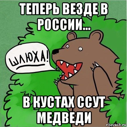 теперь везде в россии... в кустах ссут медведи, Мем Медведь в кустах