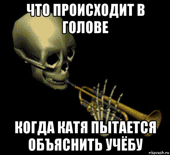 что происходит в голове когда катя пытается объяснить учёбу, Мем Мистер дудец