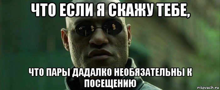 что если я скажу тебе, что пары дадалко необязательны к посещению, Мем  морфеус