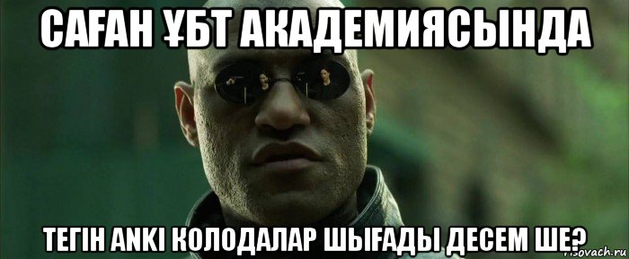 саҒан Ұбт академиясында тегін аnki колодалар шыҒады десем ше?