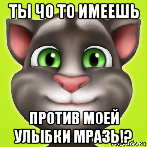 ты чо то имеешь против моей улыбки мразь!?, Мем Мой говорящий том оригинал мини