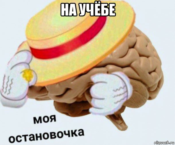 на учёбе , Мем   Моя остановочка мозг