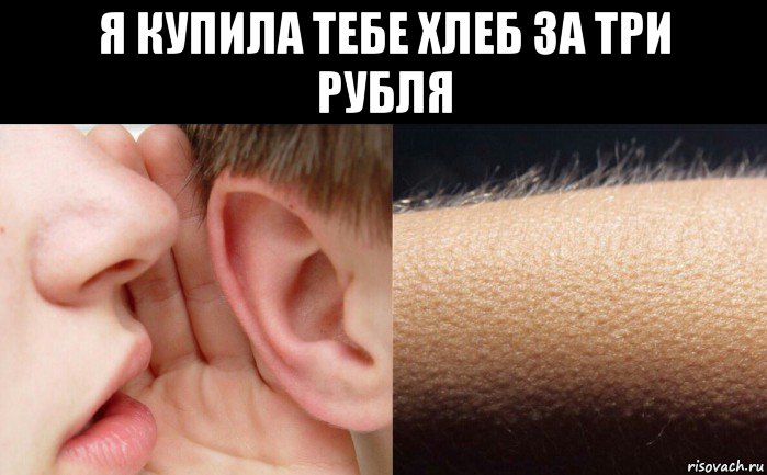 я купила тебе хлеб за три рубля 