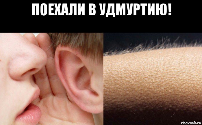 поехали в удмуртию! 