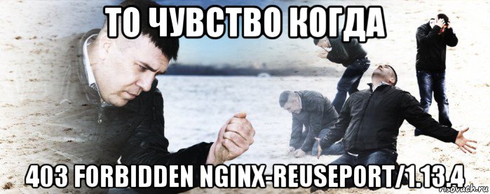 то чувство когда 403 forbidden nginx-reuseport/1.13.4, Мем Мужик сыпет песок на пляже