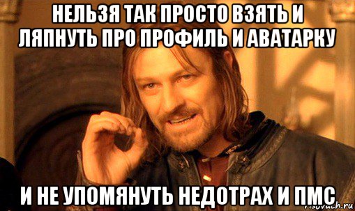 нельзя так просто взять и ляпнуть про профиль и аватарку и не упомянуть недотрах и пмс, Мем Нельзя просто так взять и (Боромир мем)