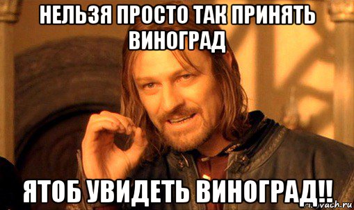 нельзя просто так принять виноград ятоб увидеть виноград!!, Мем Нельзя просто так взять и (Боромир мем)