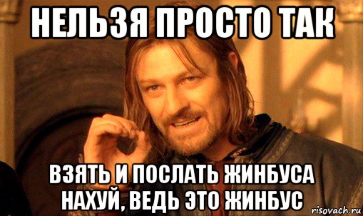 нельзя просто так взять и послать жинбуса нахуй, ведь это жинбус, Мем Нельзя просто так взять и (Боромир мем)