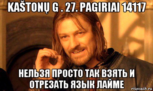 kaštonų g . 27. pagiriai 14117 нельзя просто так взять и отрезать язык лайме, Мем Нельзя просто так взять и (Боромир мем)