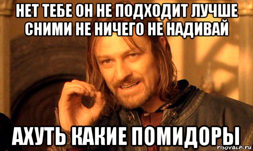 нет тебе он не подходит лучше сними не ничего не надивай ахуть какие помидоры, Мем Нельзя просто так взять и (Боромир мем)