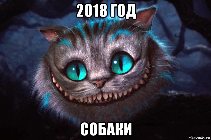 2018 год собаки