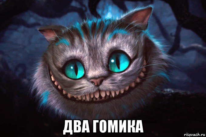  два гомика
