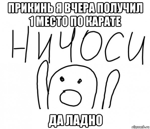 прикинь я вчера получил 1 место по карате да ладно, Мем  Ничоси