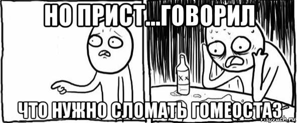 но прист...говорил что нужно сломать гомеостаз, Мем  Но я же