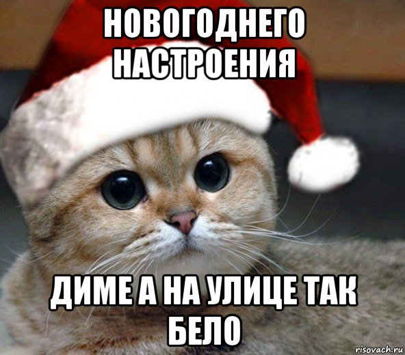 новогоднего настроения диме а на улице так бело