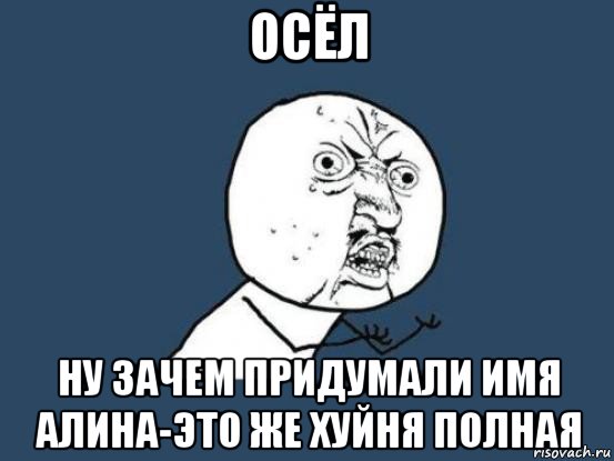 осёл ну зачем придумали имя алина-это же хуйня полная, Мем Ну почему