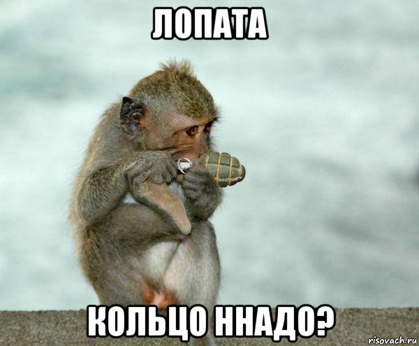 лопата кольцо ннадо?