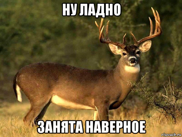 ну ладно занята наверное