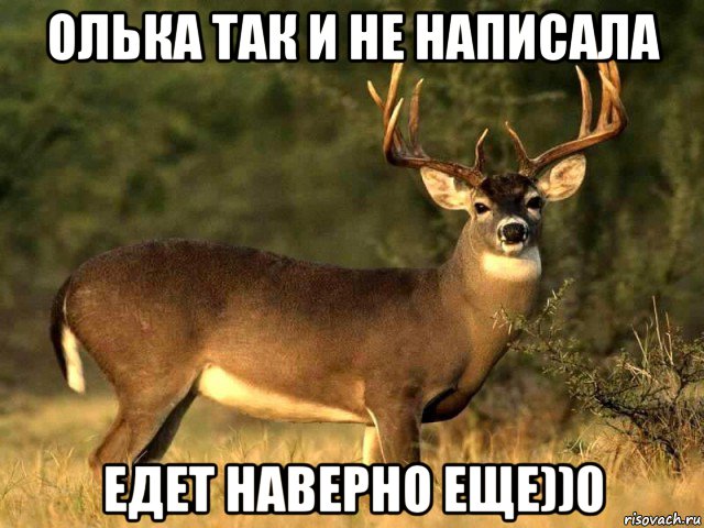 олька так и не написала едет наверно еще))0