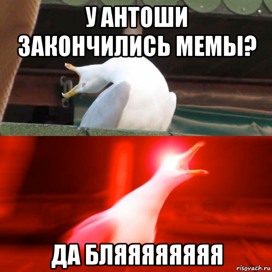 у антоши закончились мемы? да бляяяяяяяя