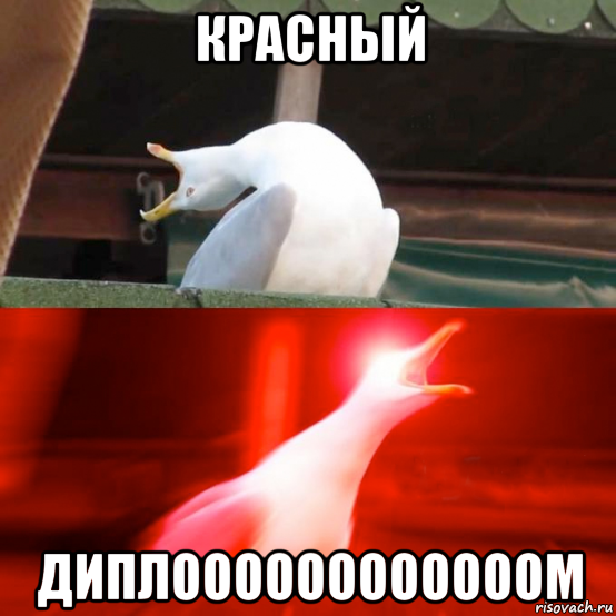 красный диплоооооооооооом