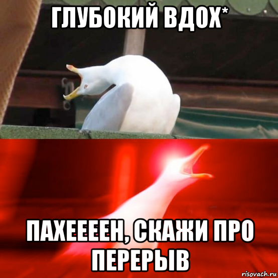 глубокий вдох* пахеееен, скажи про перерыв