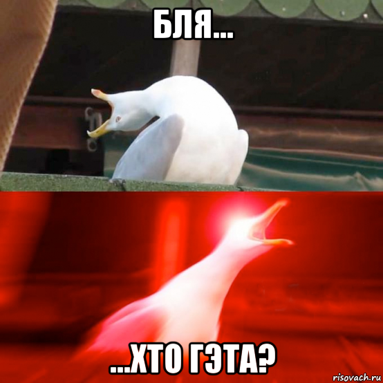 бля... ...хто гэта?