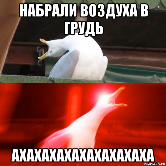 набрали воздуха в грудь ахахахахахахахахаха