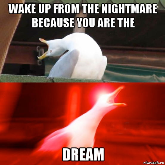 wake up from the nightmare because you are the dream