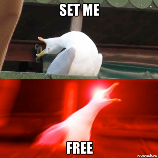 set me free