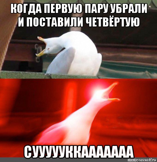 когда первую пару убрали и поставили четвёртую суууууккааааааа, Мем Орущий гусь