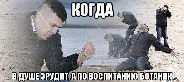 когда в душе эрудит, а по воспитанию ботаник