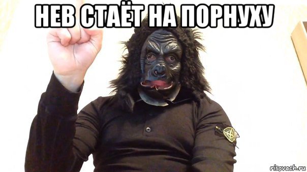нев стаёт на порнуху 