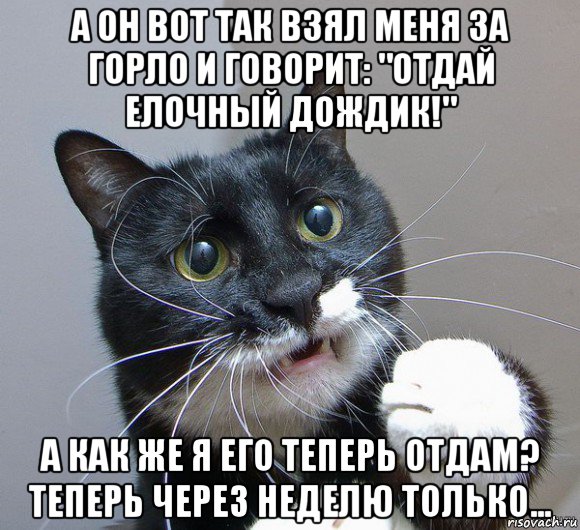 а он вот так взял меня за горло и говорит: "отдай елочный дождик!" а как же я его теперь отдам? теперь через неделю только..., Мем Печальный кот