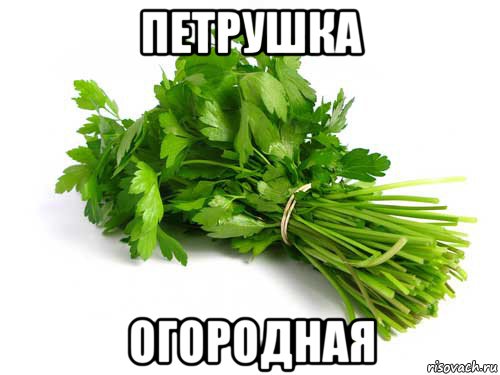 петрушка огородная