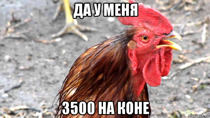 да у меня 3500 на коне
