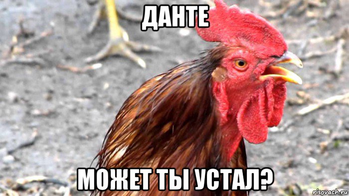 данте может ты устал?