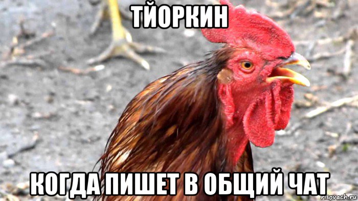 тйоркин когда пишет в общий чат
