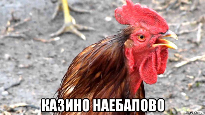  казино наебалово