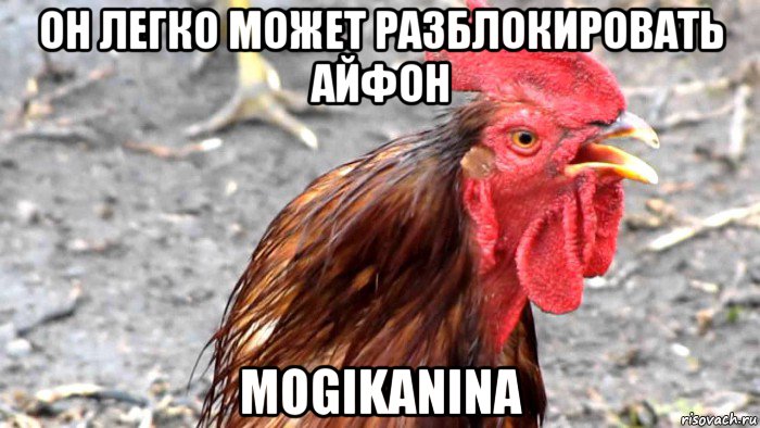 он легко может разблокировать айфон mogikanina