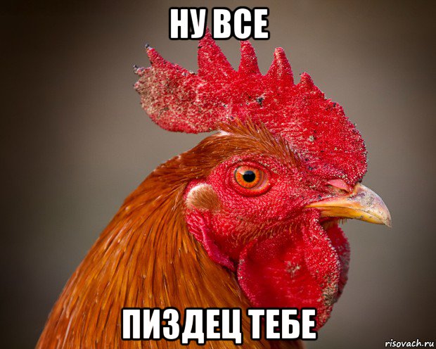 ну все пиздец тебе, Мем петух